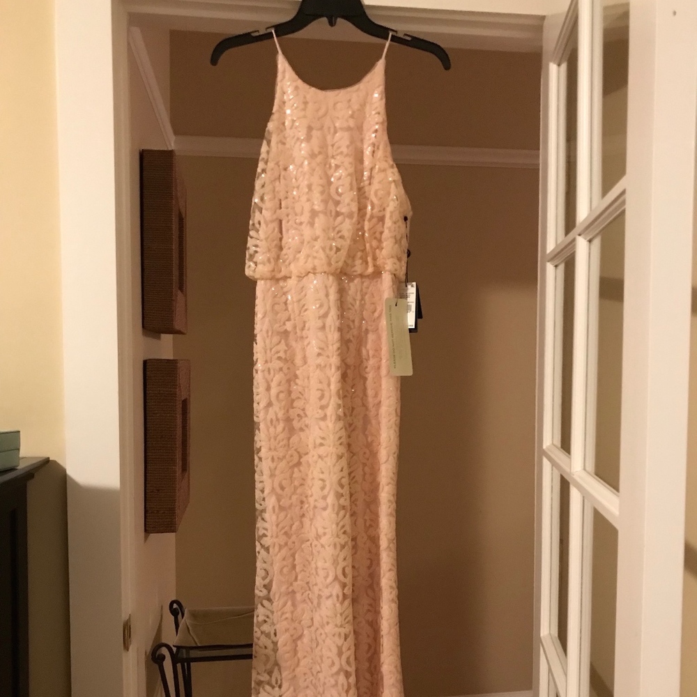 Adrianna Papell Seaquin Blouson Hi-Lo Dress BLUSH